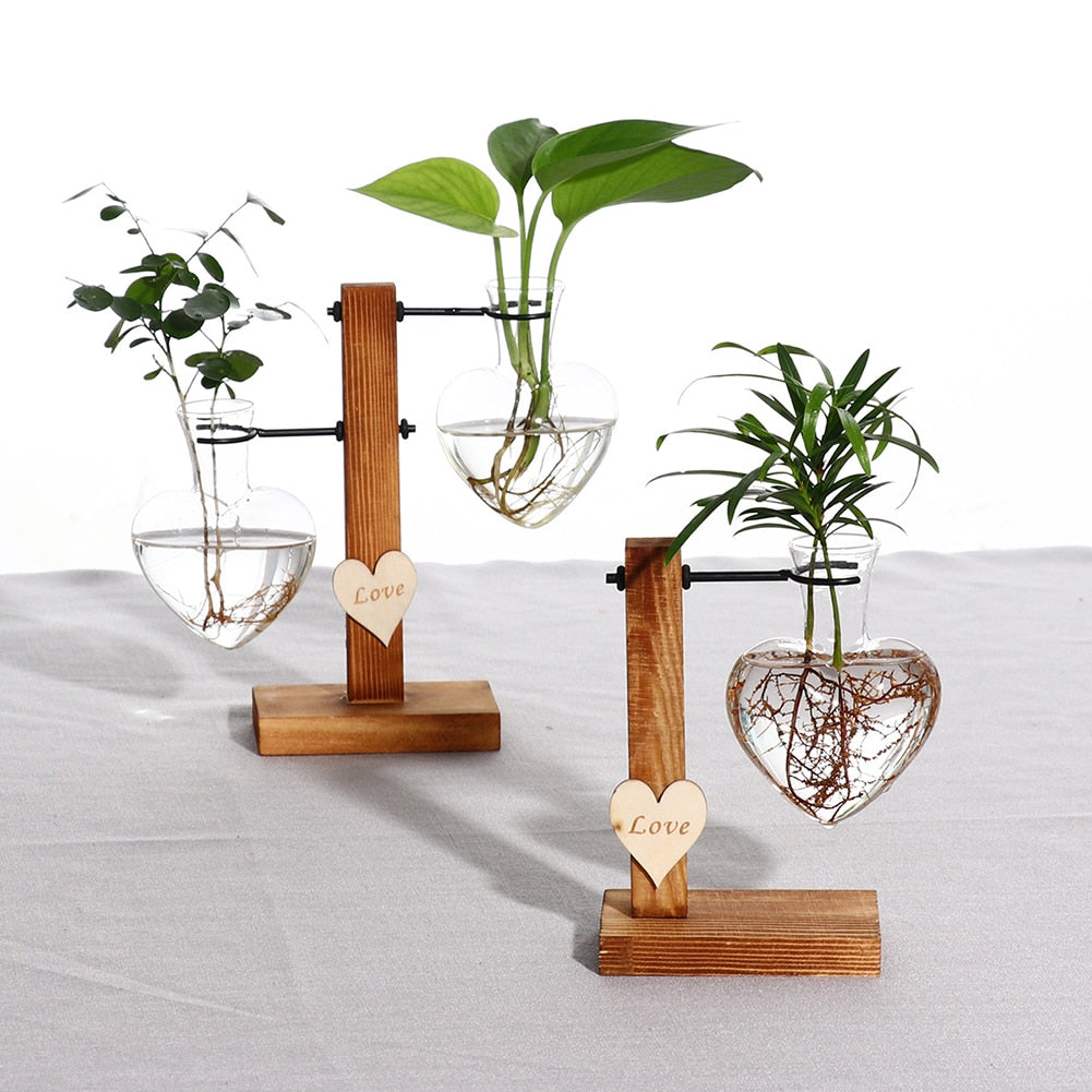 Multi Shapes Glass Flower Vases