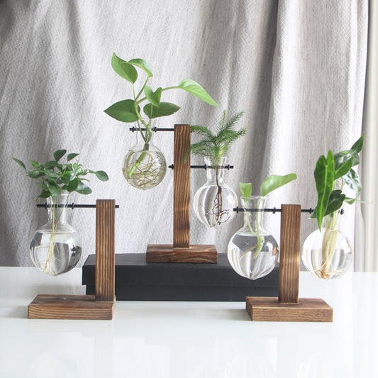 Hydroponic Desktop Plant Vase