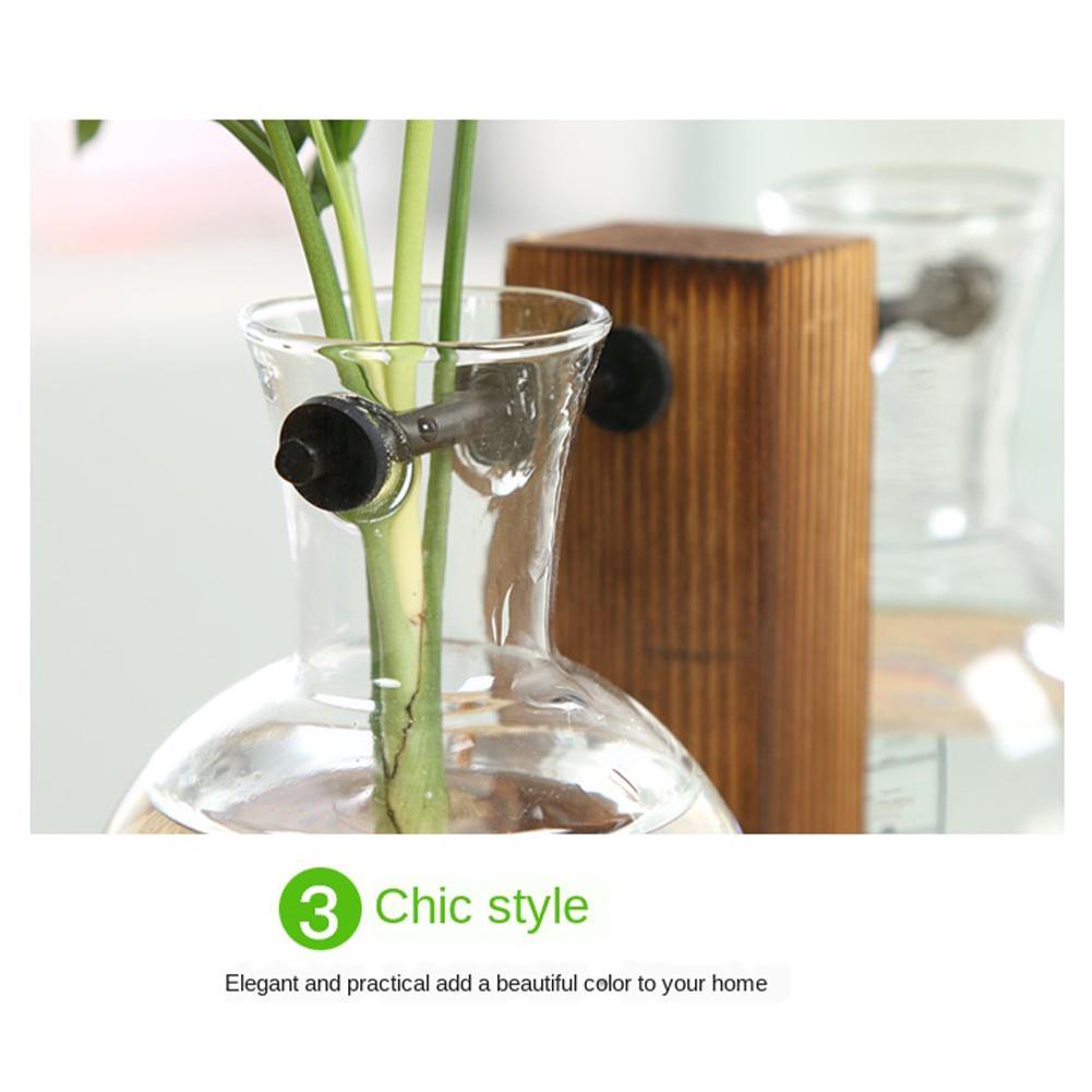 Creative Hydroponic Plant Vase