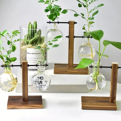 Creative Hydroponic Plant Vase