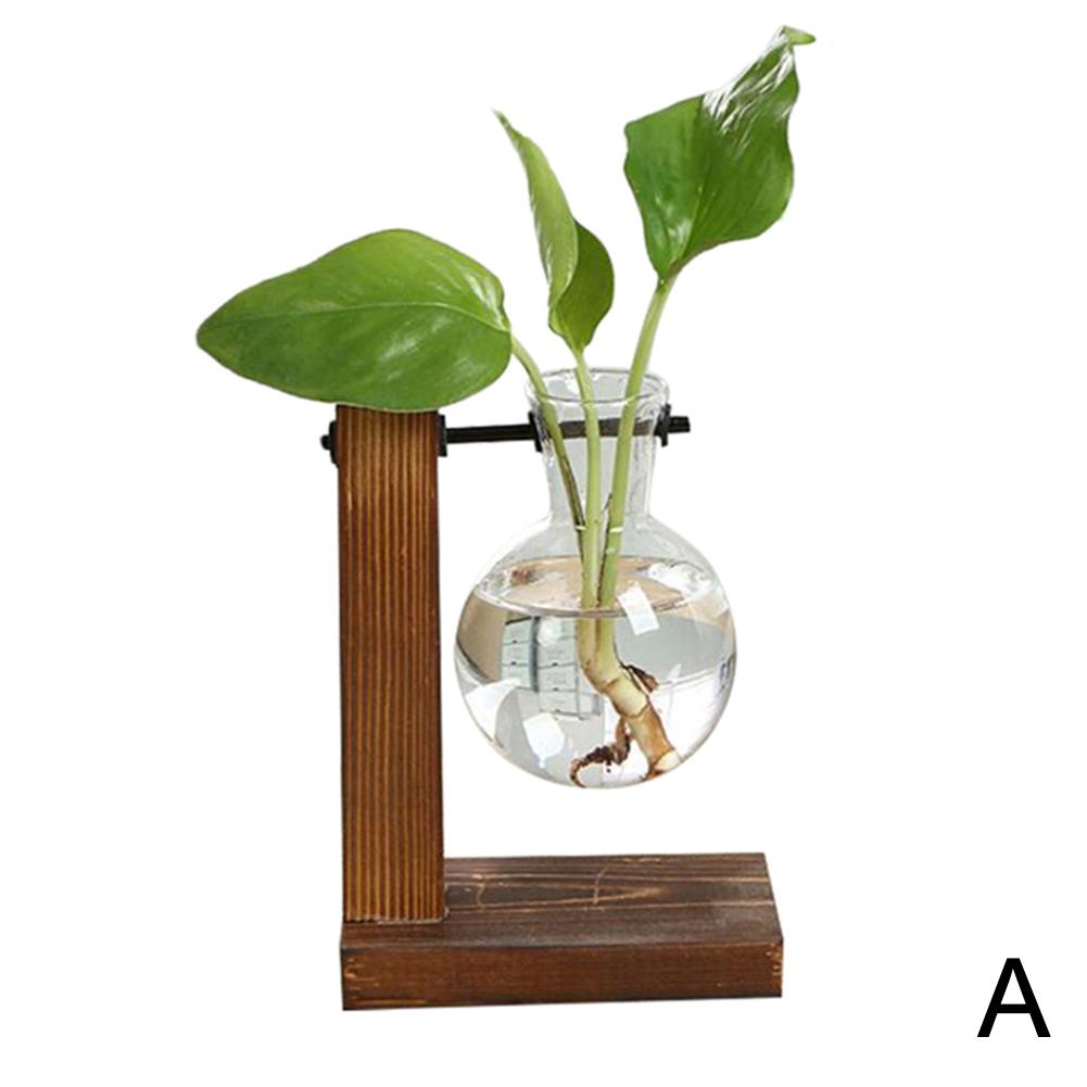 Creative Hydroponic Plant Vase