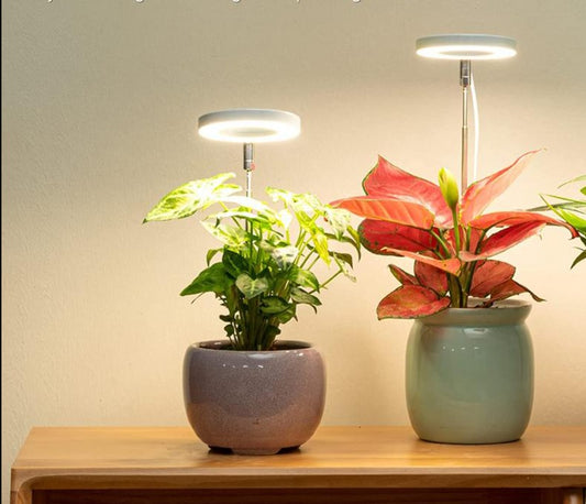 Plants Growth Lighting For Indoor Plant