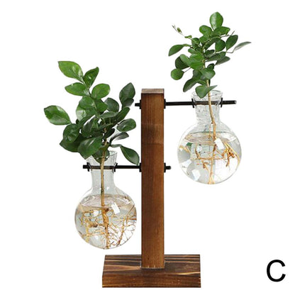 Creative Hydroponic Plant Vase